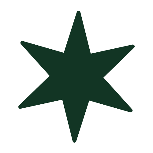 star icon